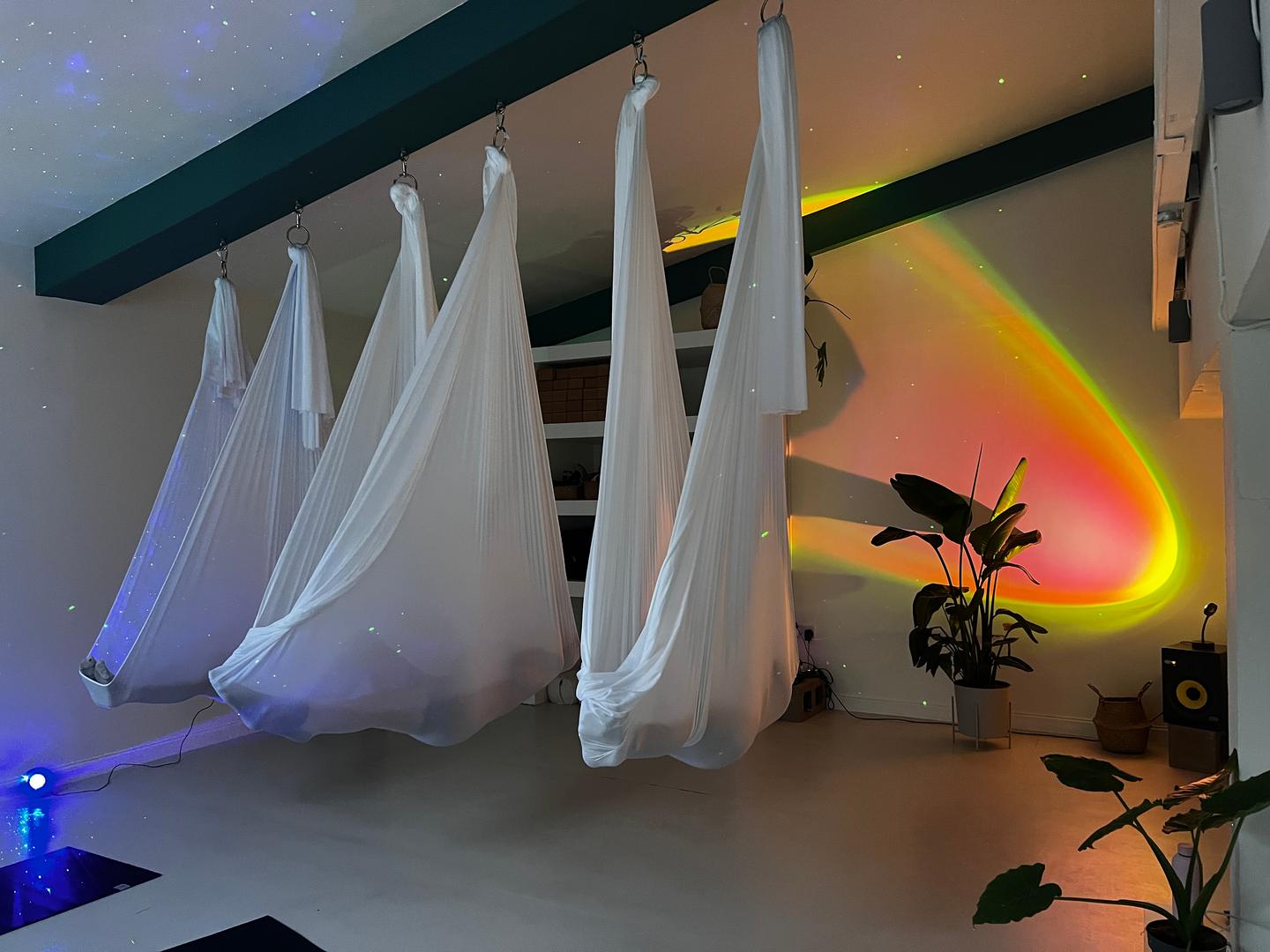 Nervous System Reset - Restorative Breath + Hammocks (60)